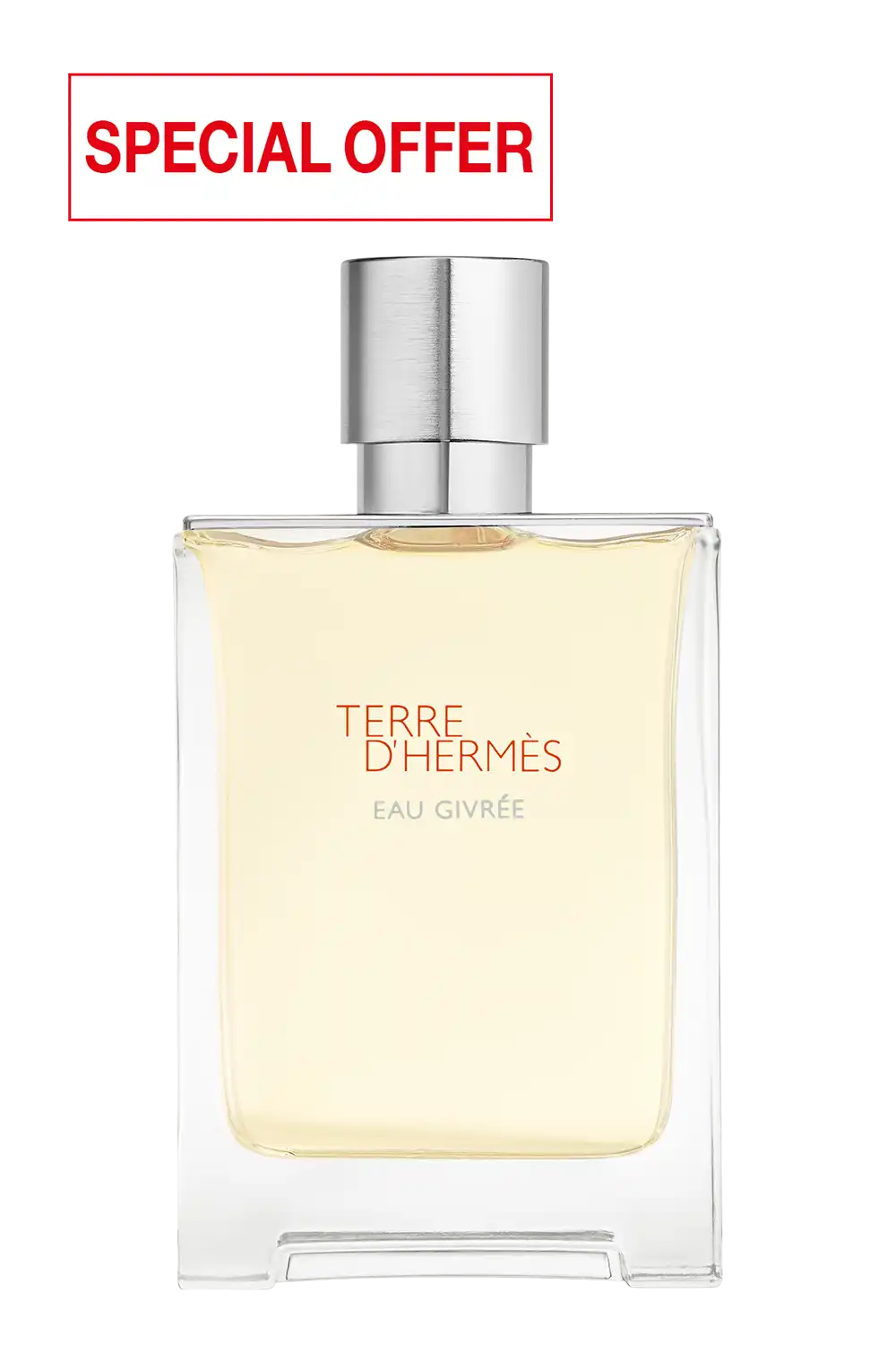 Bild: Hermès Terre d'Hermès Eau Givrée Eau de Parfum 100 ml