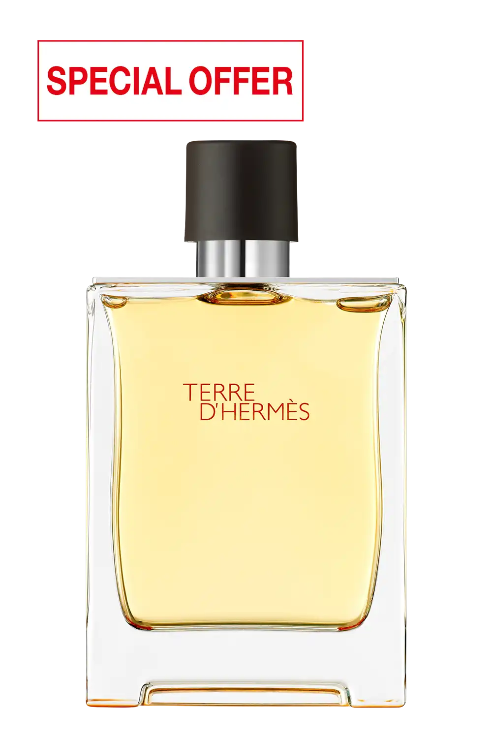 Bild: Hermès Terre d'Hermès Pure Parfum 200 ml