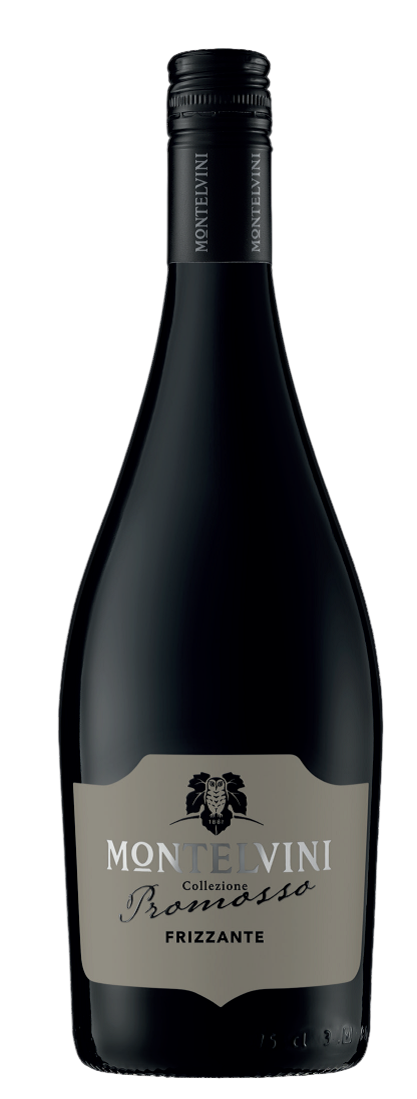 Bild: Promosso Frizzante Prosecco DOC Treviso Montelvini 10,50% 0,75l