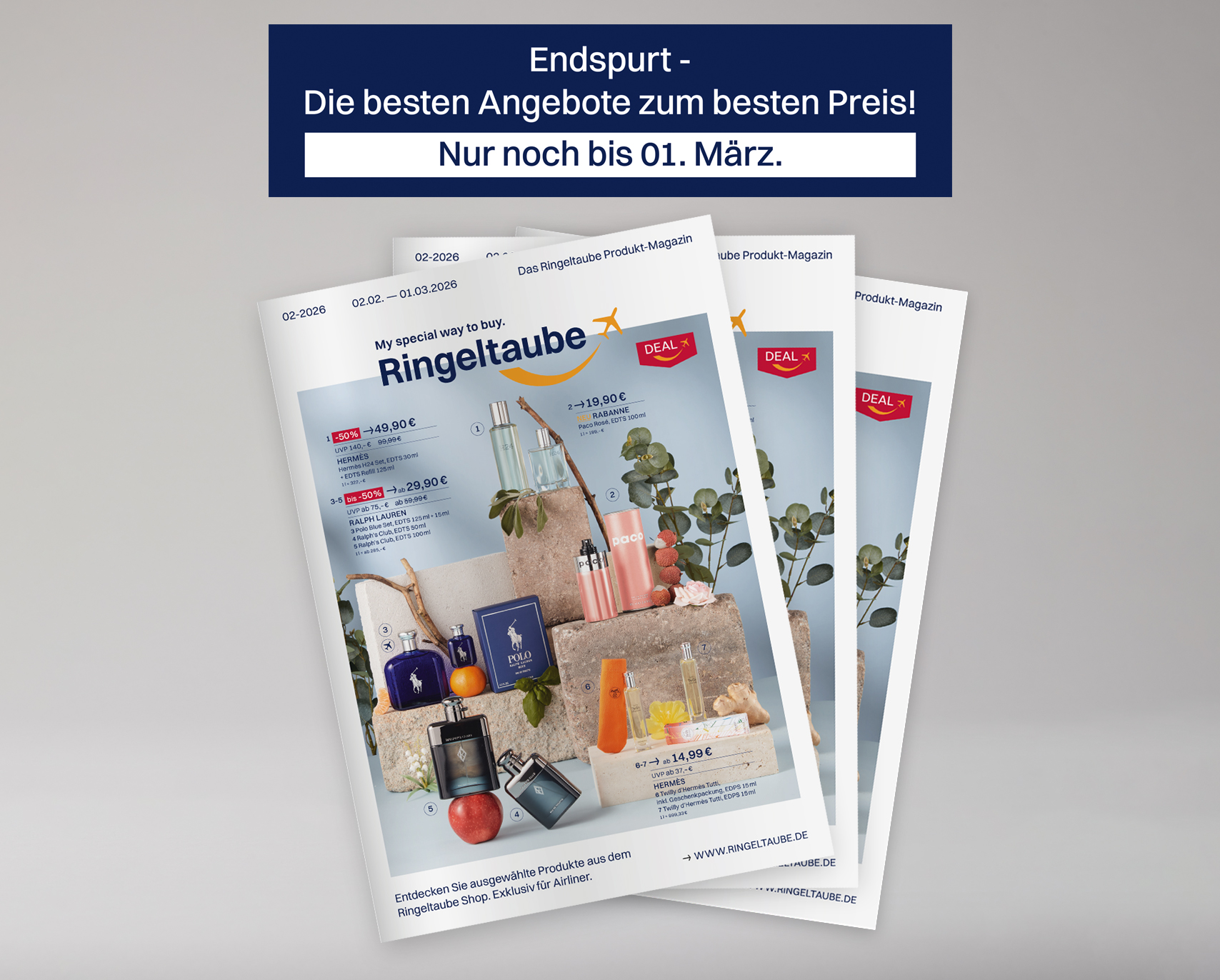 Angebote im Februar 2026