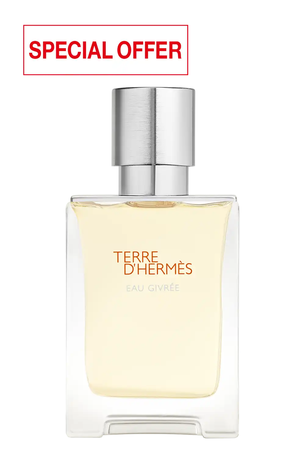Bild: Hermès Terre d'Hermès Eau Givrée Eau de Parfum 50 ml