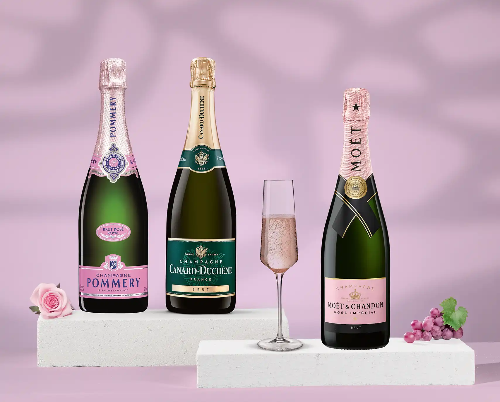 Verschiedene Champagner Sorten aktuell im Angebot