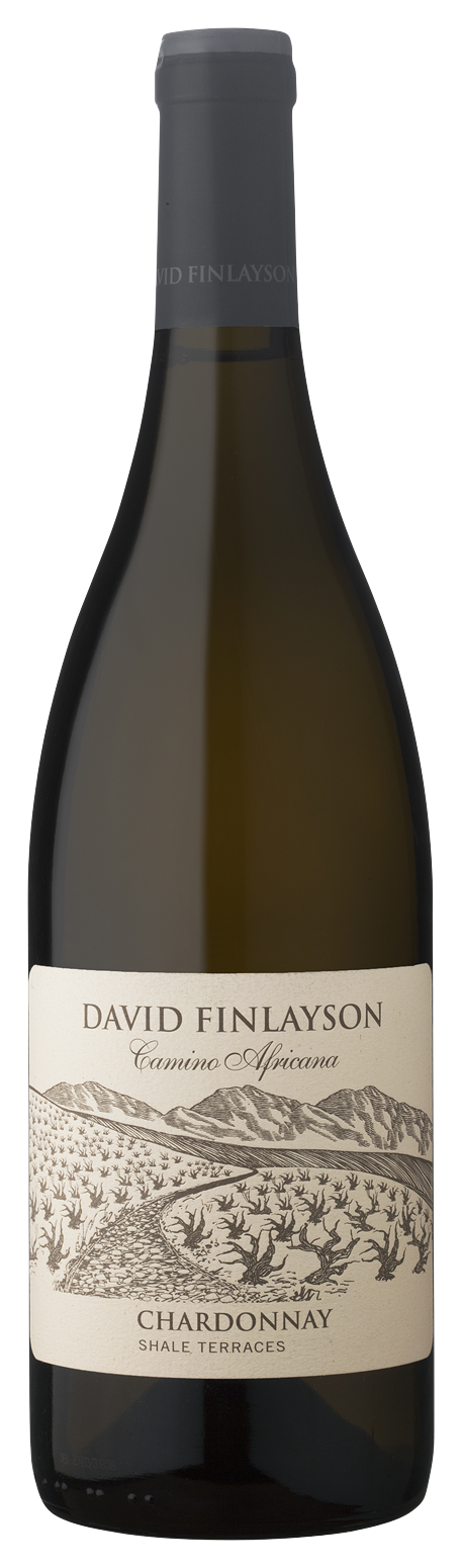 Bild: David Finlayson Camino Shale Terra Chardonnay