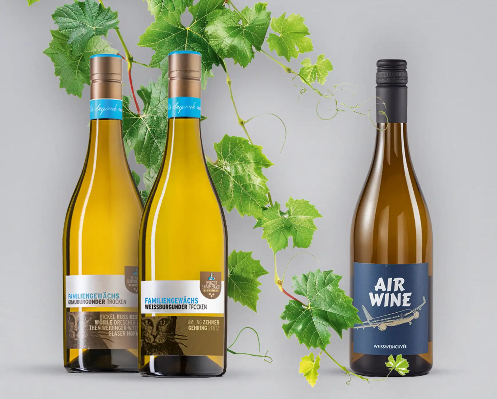 Weingut Sommerach